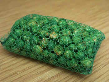 Sprouts in a net sack - F116