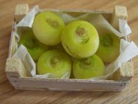 Turnips in box - F246
