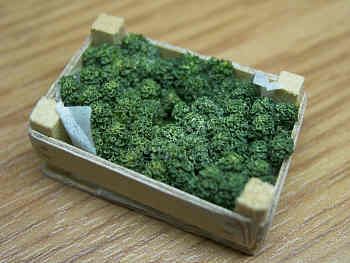 Broccoli in wood box - F76