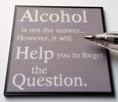 Wall plaque - Alcohol is not the Answer...- M289
