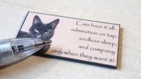 Quotation Wall Plaque - Cat's have it all... - M334
