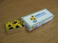 Sunflowers in printed box - PC248