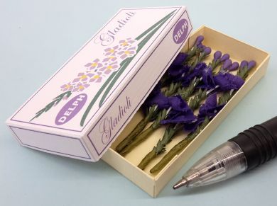 Gladioli in Printed Carton - Purple Gladioli  - PC250PU